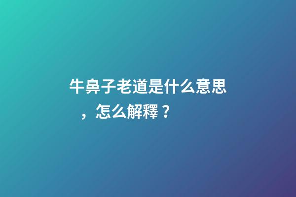 牛鼻子老道是什么意思，怎么解釋？